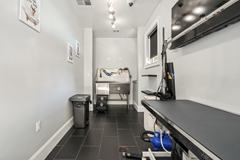 Pet spa